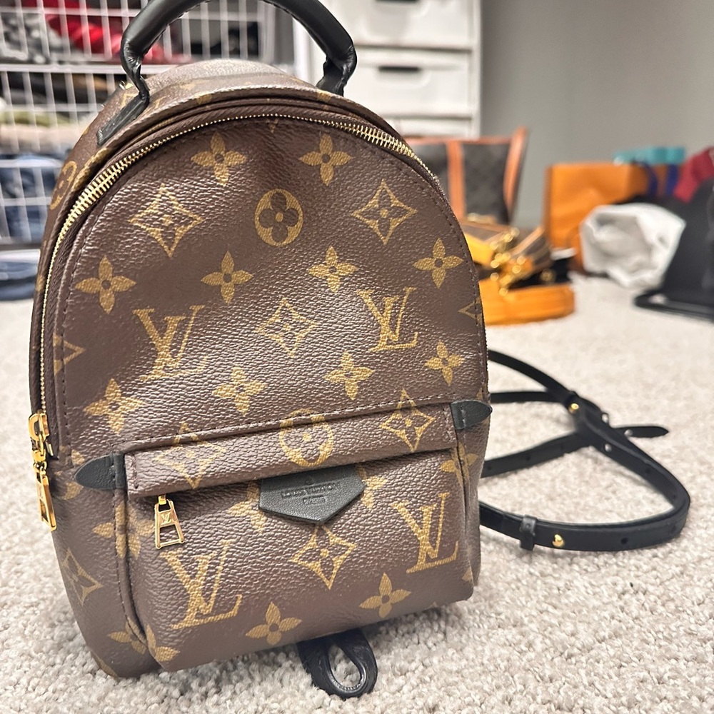 Lv Palm Springs Mini Monogram Backpack
